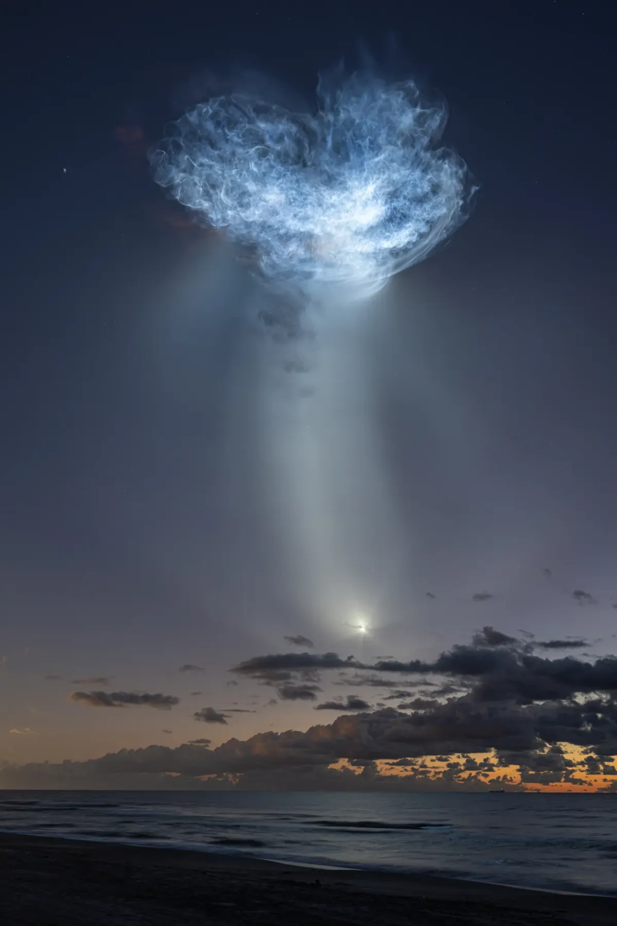 Image accompanying the story: NASA’s Space X CRS-35 Launch Jellyfish